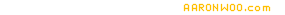 www.aaronwoo.com
